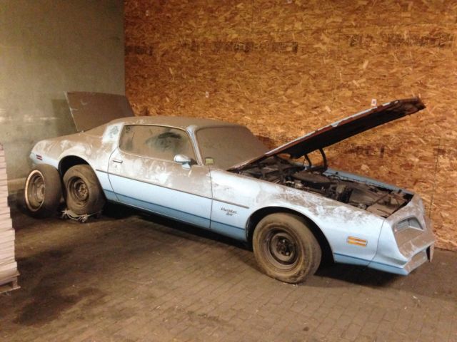1977 Pontiac Firebird Skybird - photo 2