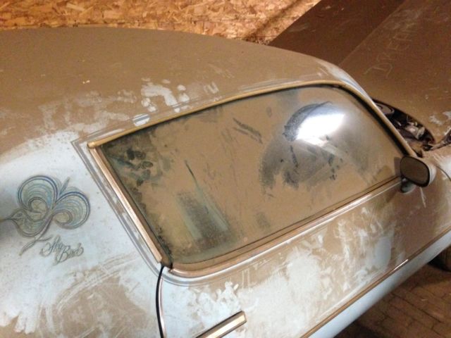 1977 Pontiac Firebird Skybird - photo 3
