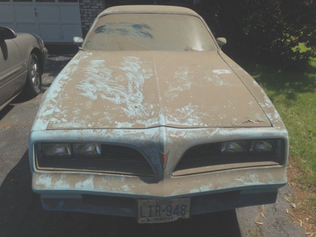 1977 Pontiac Firebird Skybird - photo 5