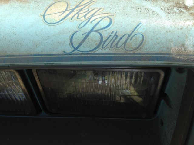 1977 Pontiac Firebird Skybird - photo 8
