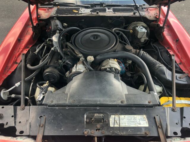 1977 Pontiac Firebird Esprit - photo 4