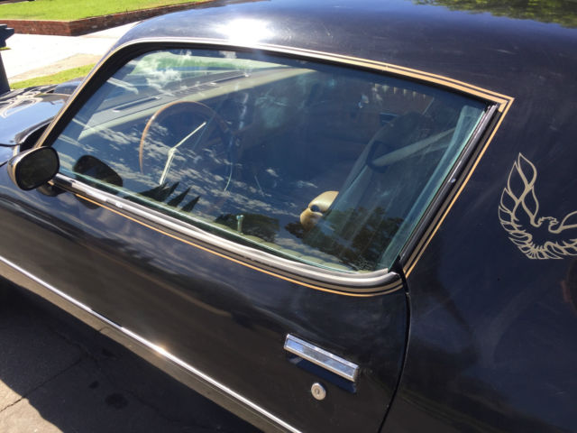 1977 Pontiac Firebird Esprit Coupe 2-Door - photo 11