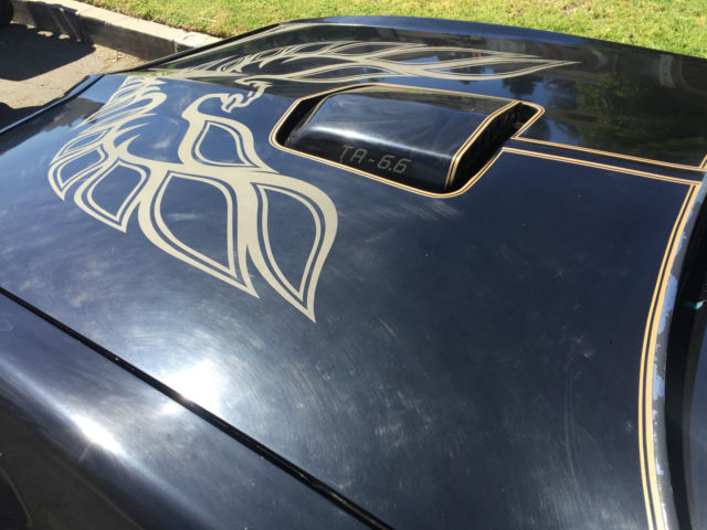 1977 Pontiac Firebird Esprit Coupe 2-Door - photo 12
