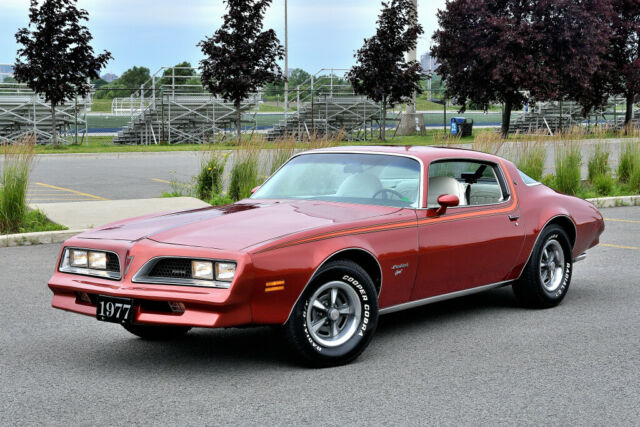 1977 Pontiac Firebird Esprit MINT SURVIVOR 26 000 original miles original paint 1977 Pontiac Firebird Esprit