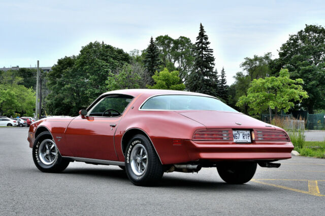 1977 Pontiac Firebird Esprit - photo 10