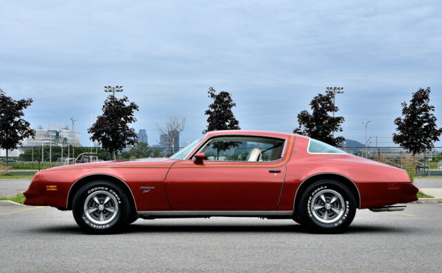 1977 Pontiac Firebird Esprit - photo 5