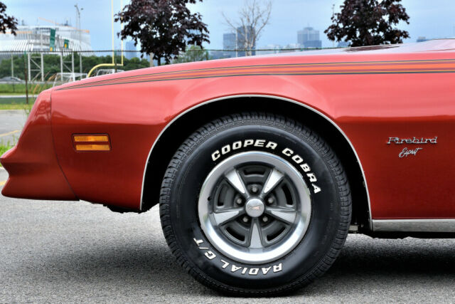 1977 Pontiac Firebird Esprit - photo 8