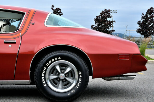 1977 Pontiac Firebird Esprit - photo 9