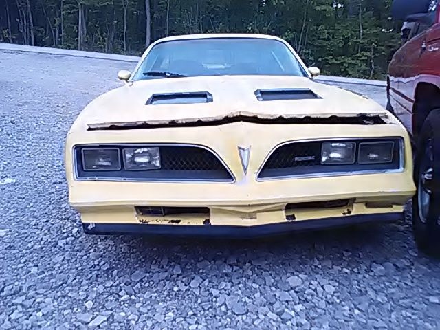 1977 Pontiac Firebird