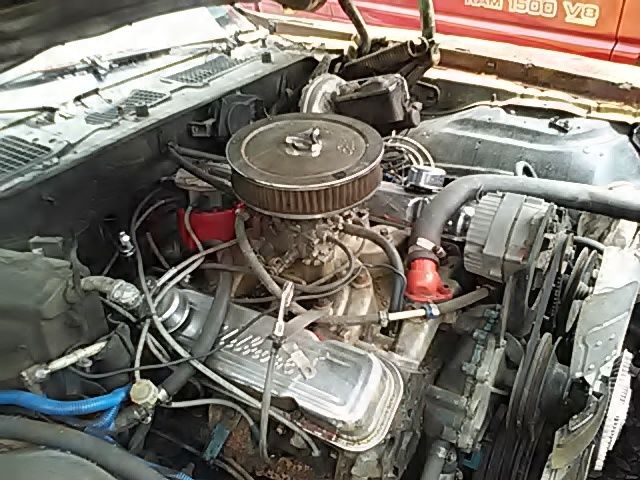 1977 Pontiac Firebird - photo 3