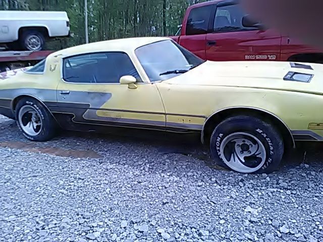 1977 Pontiac Firebird - photo 4