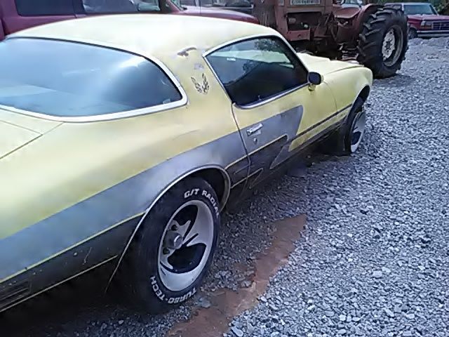 1977 Pontiac Firebird - photo 6