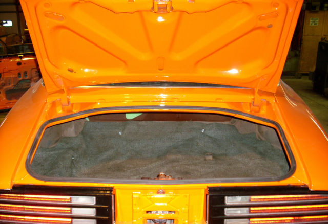 1977 Pontiac Firebird - photo 10