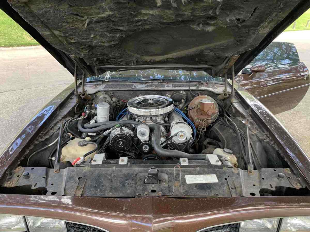 1977 Pontiac Firebird Formula formula - photo 10