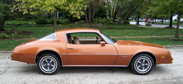 1977 Pontiac Firebird - photo 8