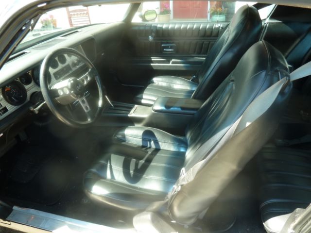 1977 Pontiac Trans Am - photo 9
