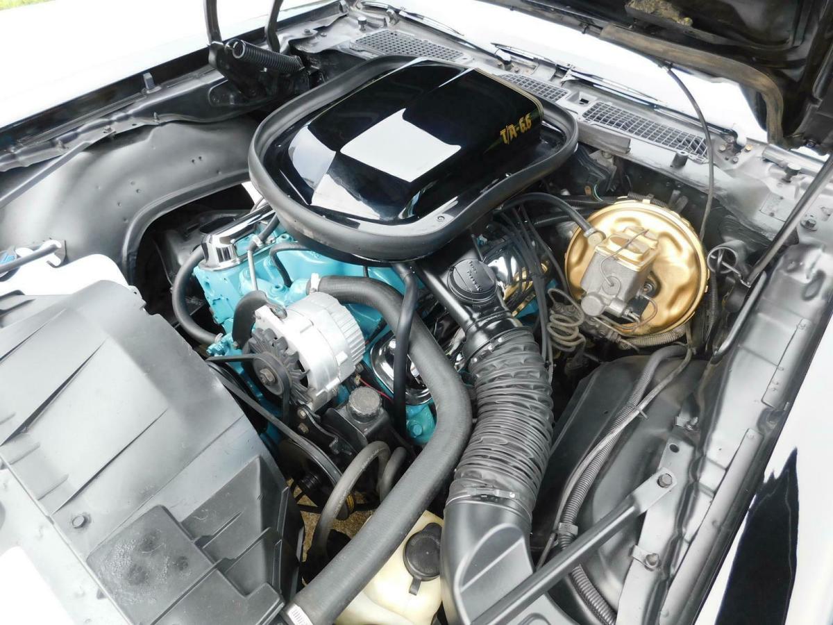 1977 Pontiac Firebird TRANS AM - photo 9