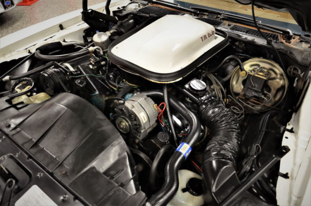 1977 Pontiac Firebird Trans Am - photo 12