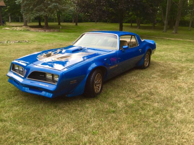 1977 Pontiac Firebird TRANS AM - photo 10