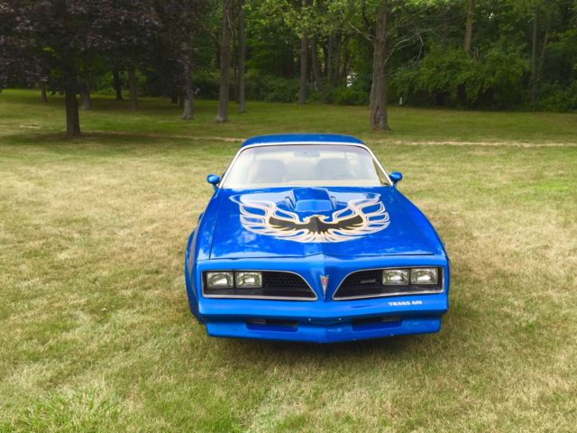 1977 Pontiac Firebird TRANS AM - photo 3