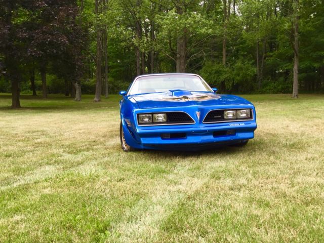 1977 Pontiac Firebird TRANS AM - photo 4
