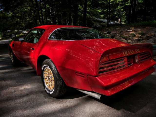 1977 Pontiac Firebird Trans Am - photo 2
