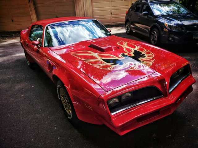 1977 Pontiac Firebird Trans Am - photo 3