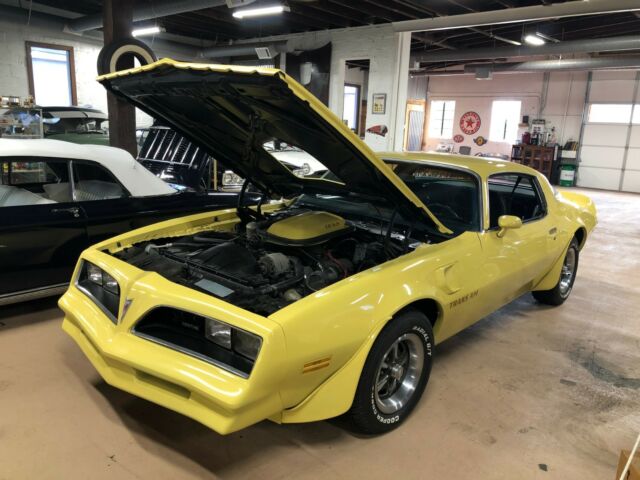 1977 Pontiac Firebird Trans Am - photo 2