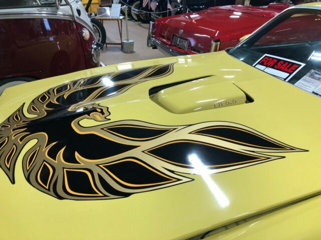1977 Pontiac Firebird Trans Am - photo 5