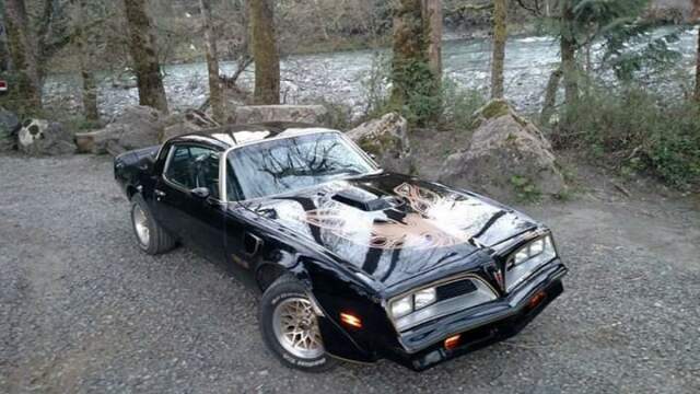 1977 Pontiac Firebird Trans am - photo 2