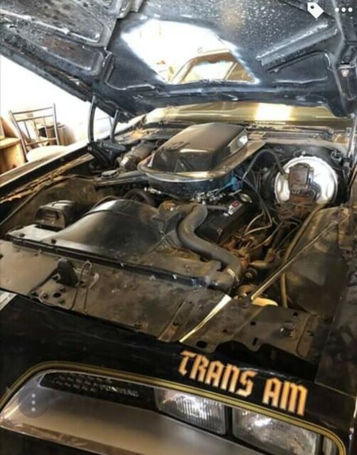 1977 Pontiac Firebird Trans am - photo 9