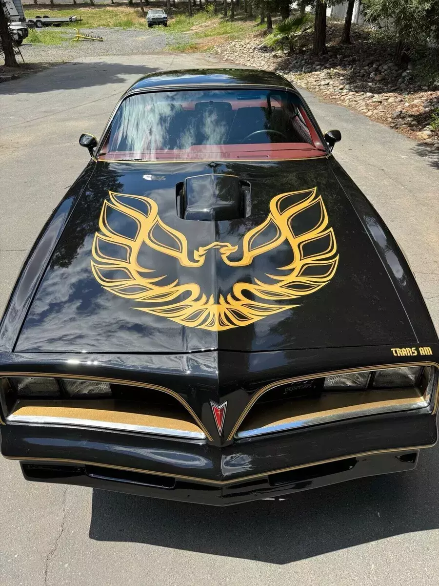 1977 Pontiac Firebird Trans Am