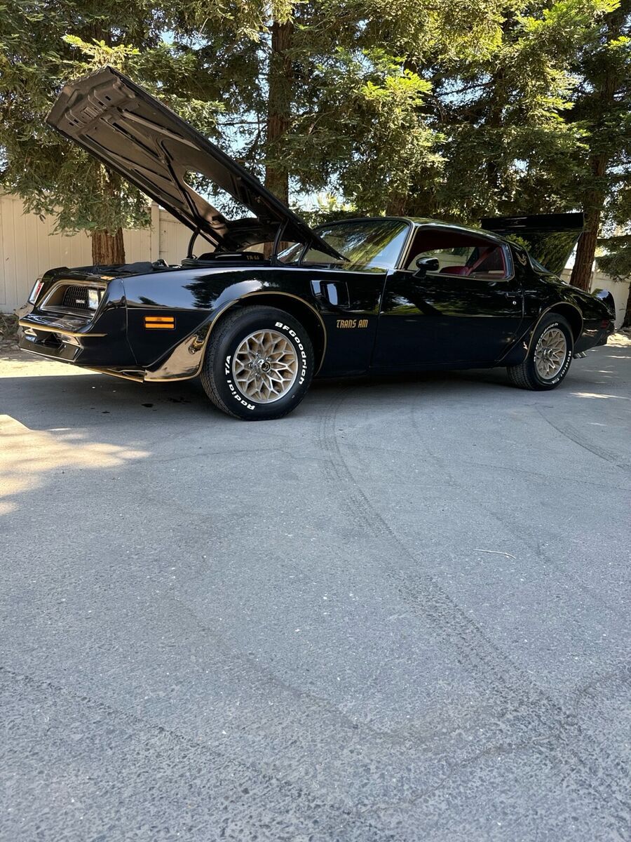 1977 Pontiac Firebird Trans Am - photo 10
