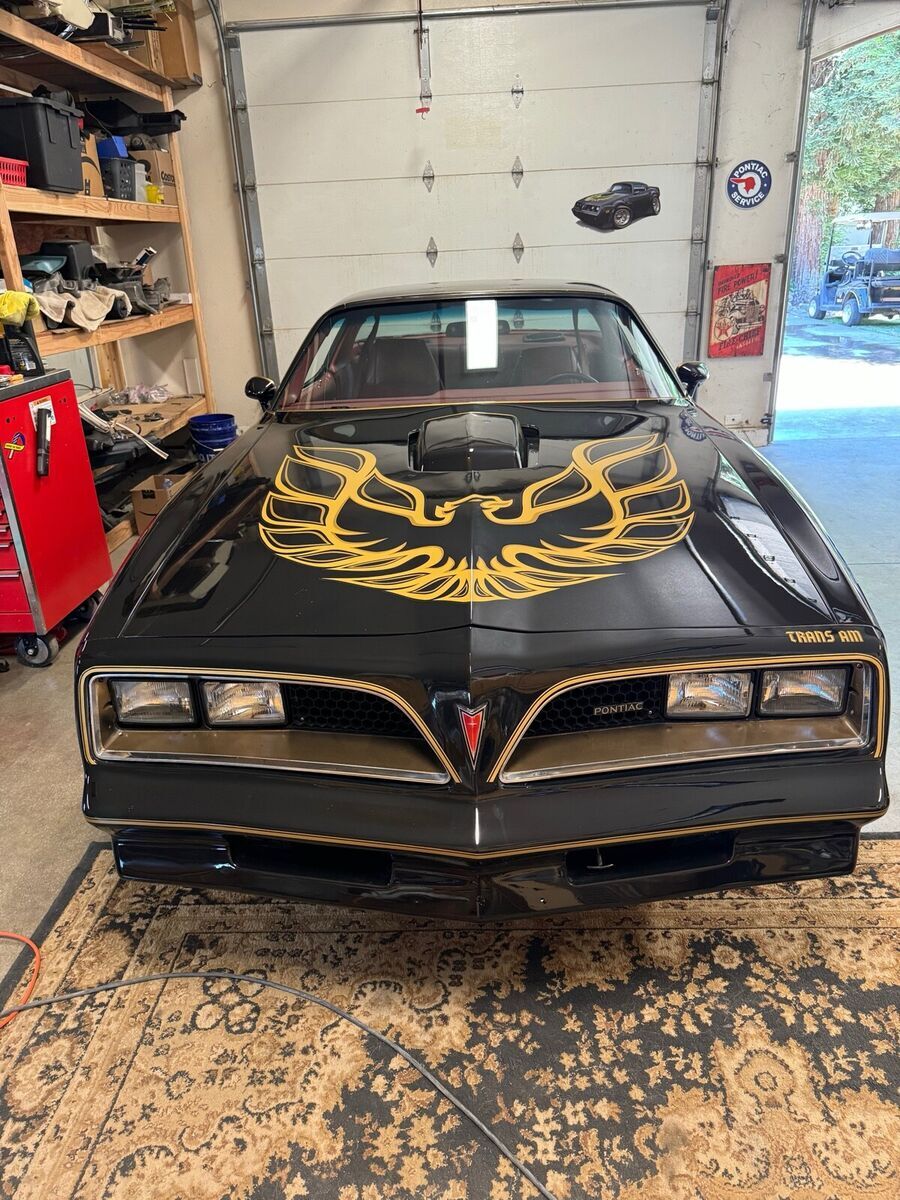 1977 Pontiac Firebird Trans Am - photo 11