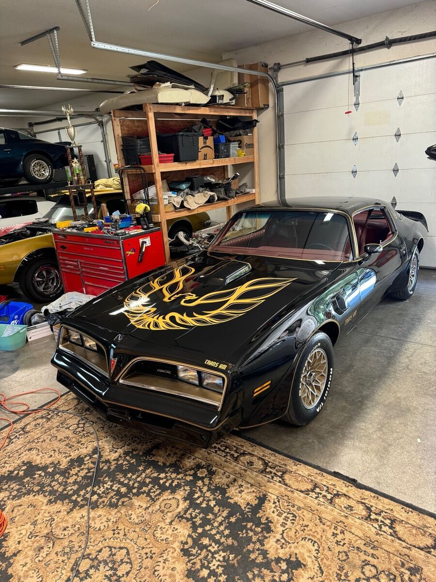 1977 Pontiac Firebird Trans Am - photo 12