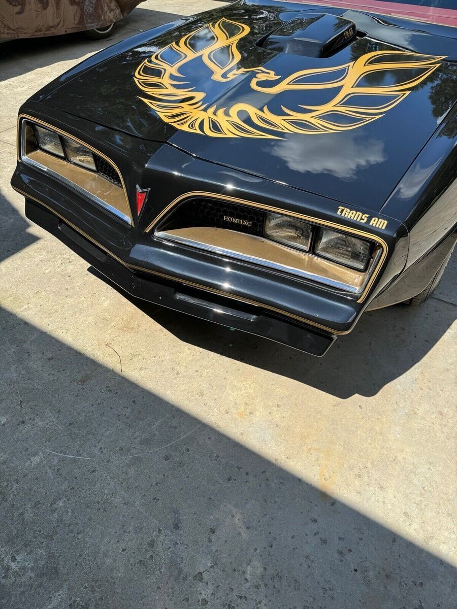1977 Pontiac Firebird Trans Am - photo 2