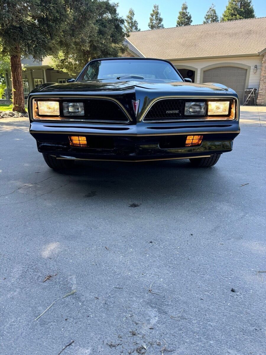 1977 Pontiac Firebird Trans Am - photo 6