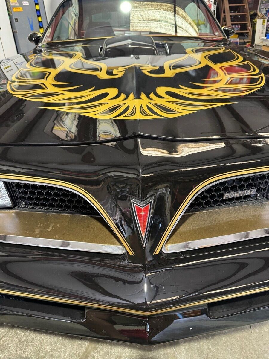 1977 Pontiac Firebird Trans Am - photo 9