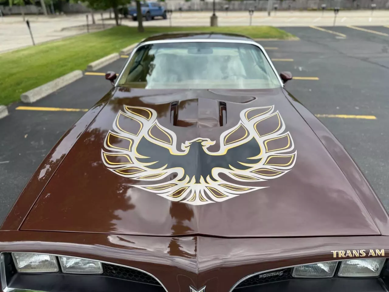 1977 Pontiac Trans Am - photo 10