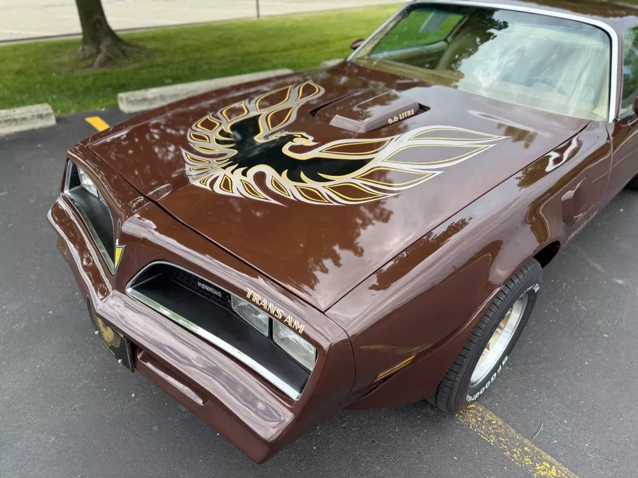 1977 Pontiac Trans Am - photo 12