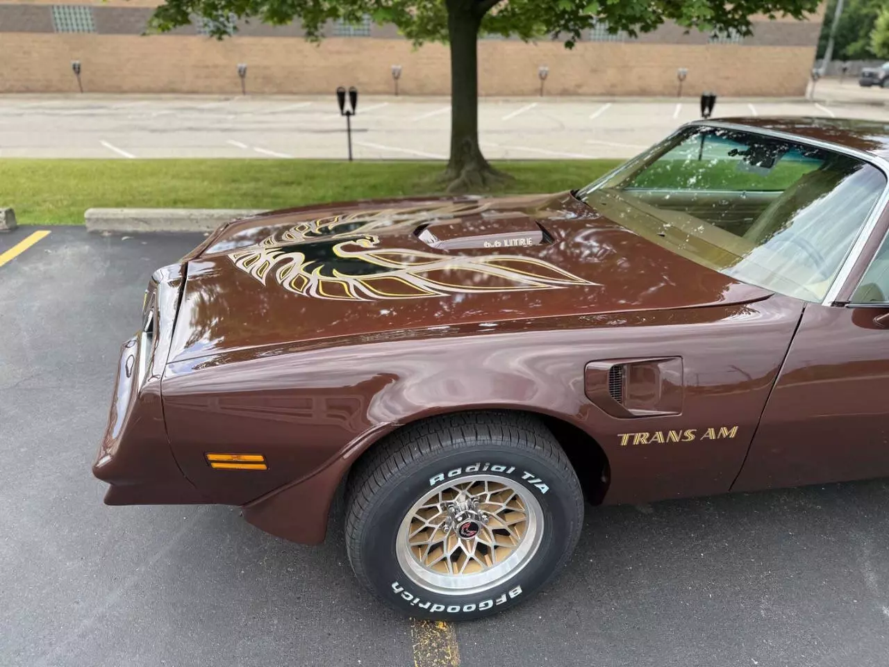 1977 Pontiac Trans Am - photo 13