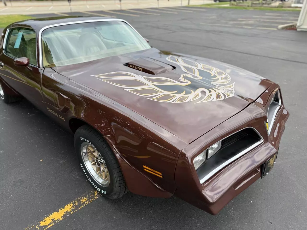 1977 Pontiac Trans Am - photo 9