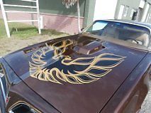 1977 Pontiac Firebird - photo 5