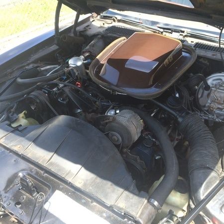 1977 Pontiac Firebird - photo 6