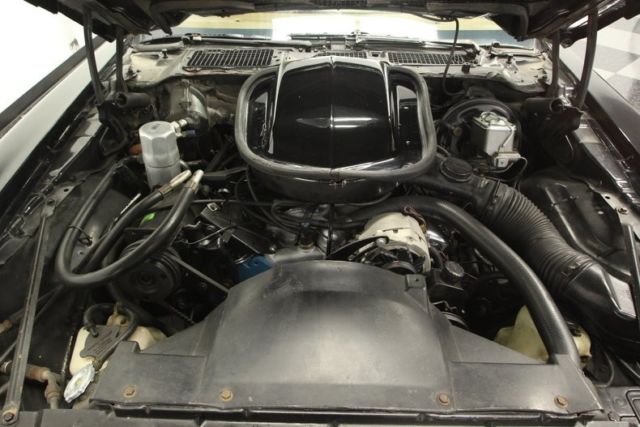 1977 Pontiac Firebird Trans Am - photo 4