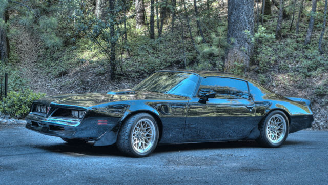 1977 Pontiac Firebird Trans Am Coupe 6.6L - DHC Means Streets Black Out Edition 1977 Pontiac Firebird