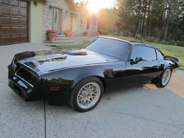 1977 Pontiac Firebird - photo 2