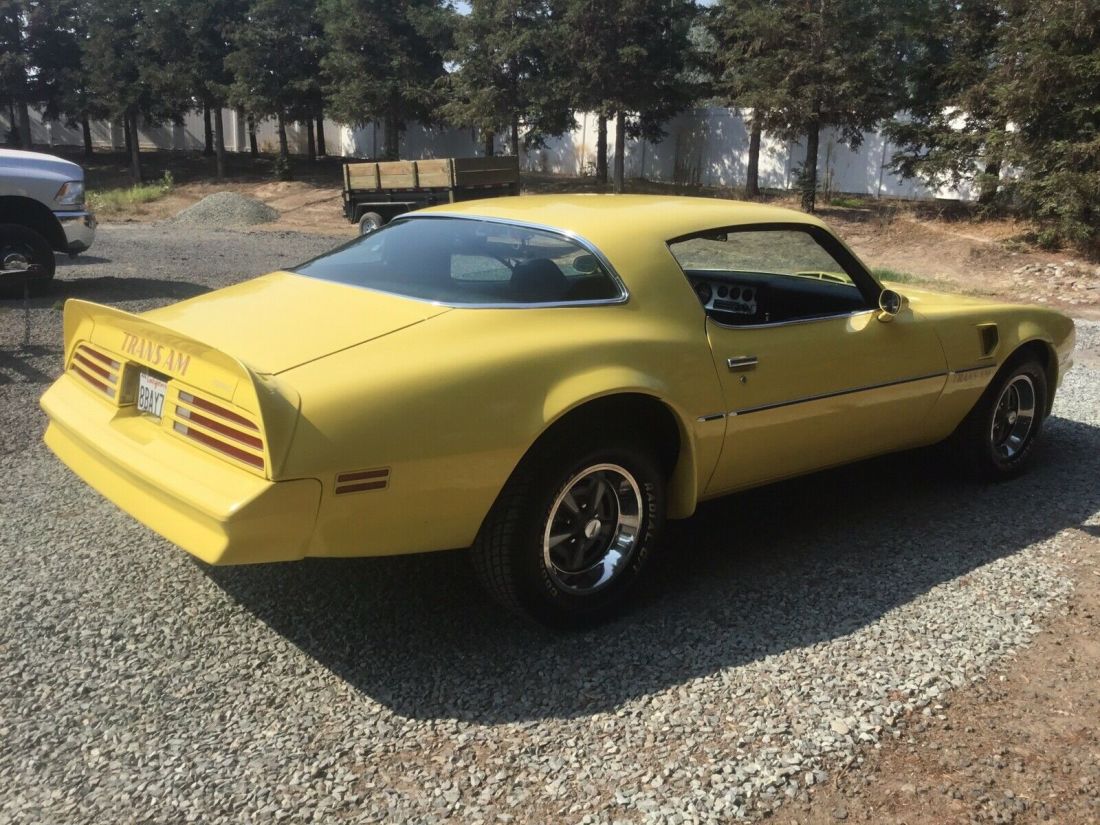 1977 Pontiac Firebird Trans Am Trans am - photo 10