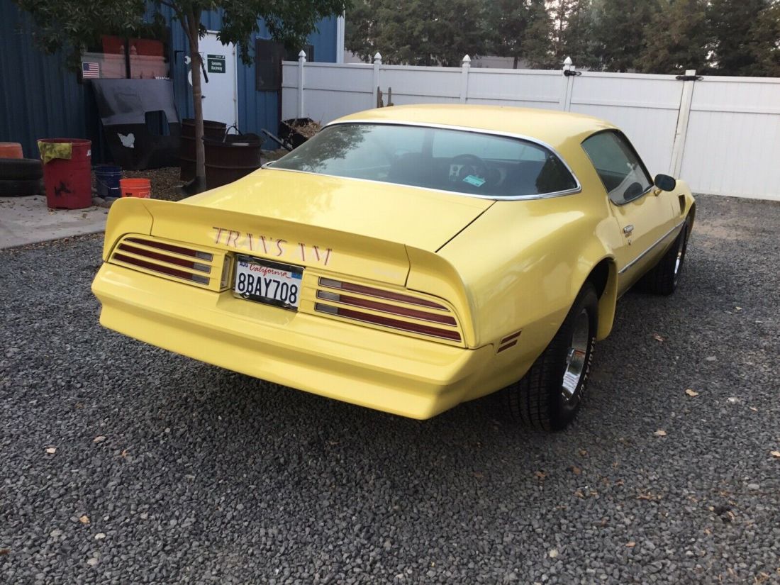 1977 Pontiac Firebird Trans Am Trans am - photo 11