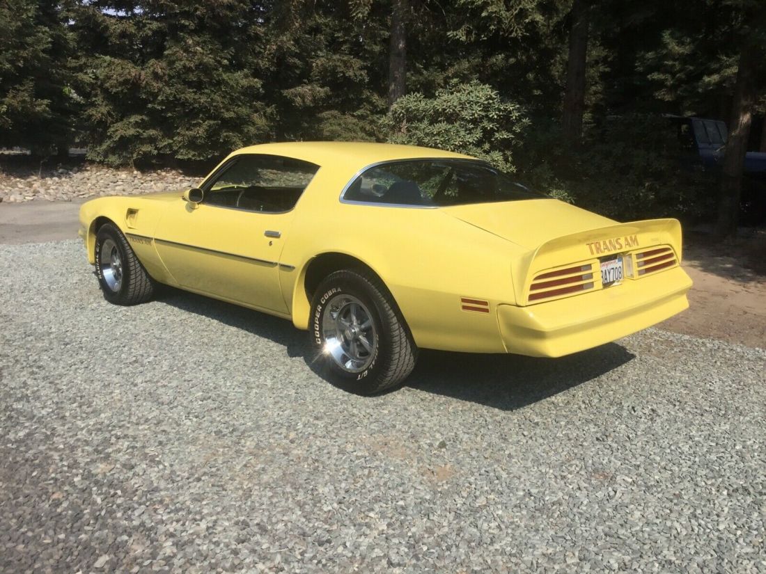1977 Pontiac Firebird Trans Am Trans am - photo 12